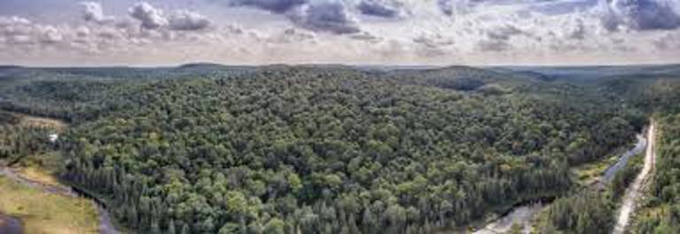 Aerial View of Strong Township